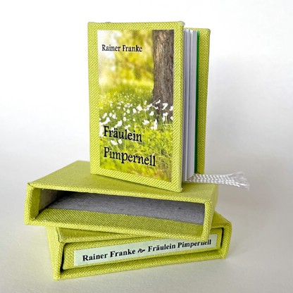 Schachtelbuch im Schuber